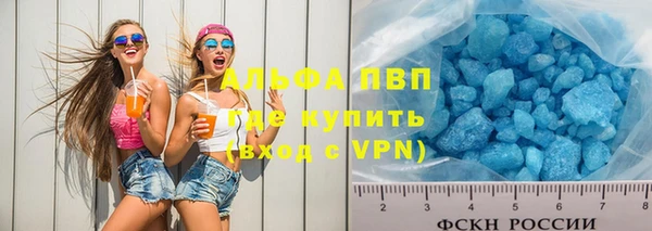 стаф Белокуриха