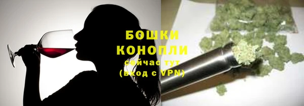 стаф Белокуриха