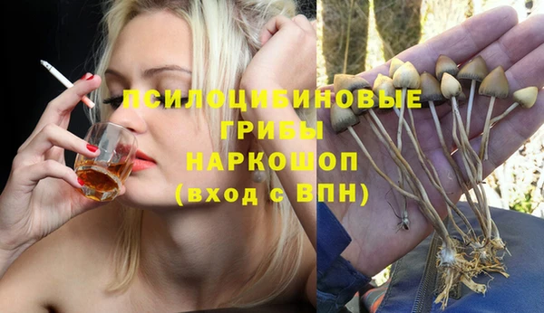 трава Беломорск