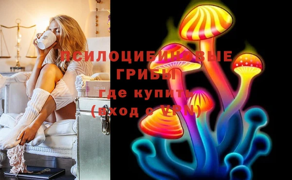 соль ск Сосновый Бор