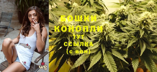 соль ск Сосновый Бор