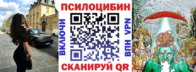 купить закладку  Гремячинск  блэк спрут ссылка  Галлюциногенные грибы Magic Shrooms 
